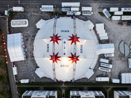 Zirkus Knie macht Halt in Wil – Vorfreude auf ein besonderes Highlight