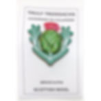 Thumbnail: Scottish Thistle Brooch