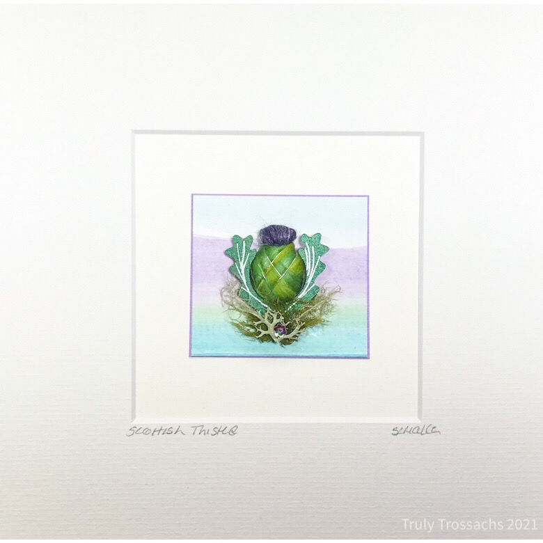 Thumbnail: Mount Scottish Thistle