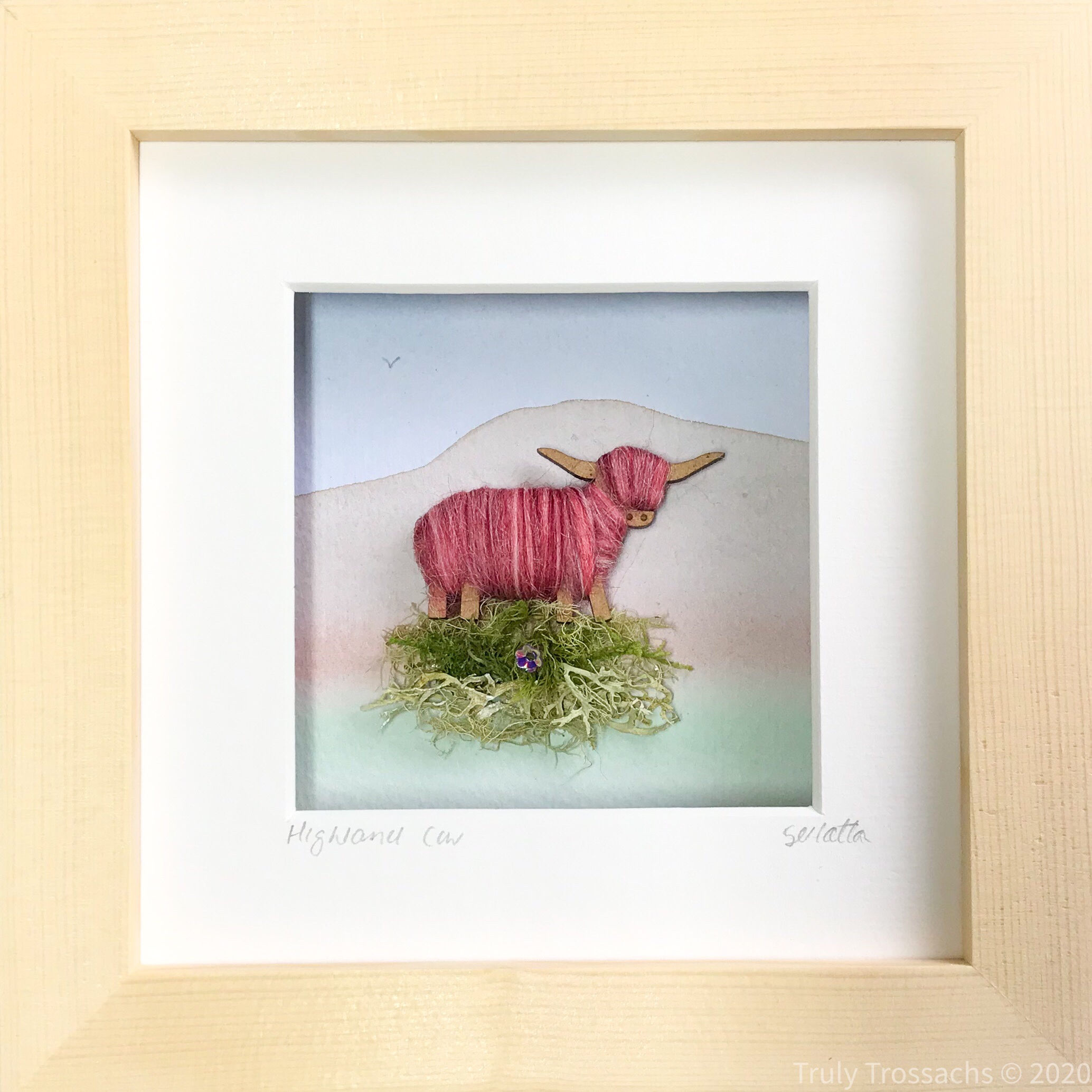 Small Boxed Picture Highland Cow - colour blends