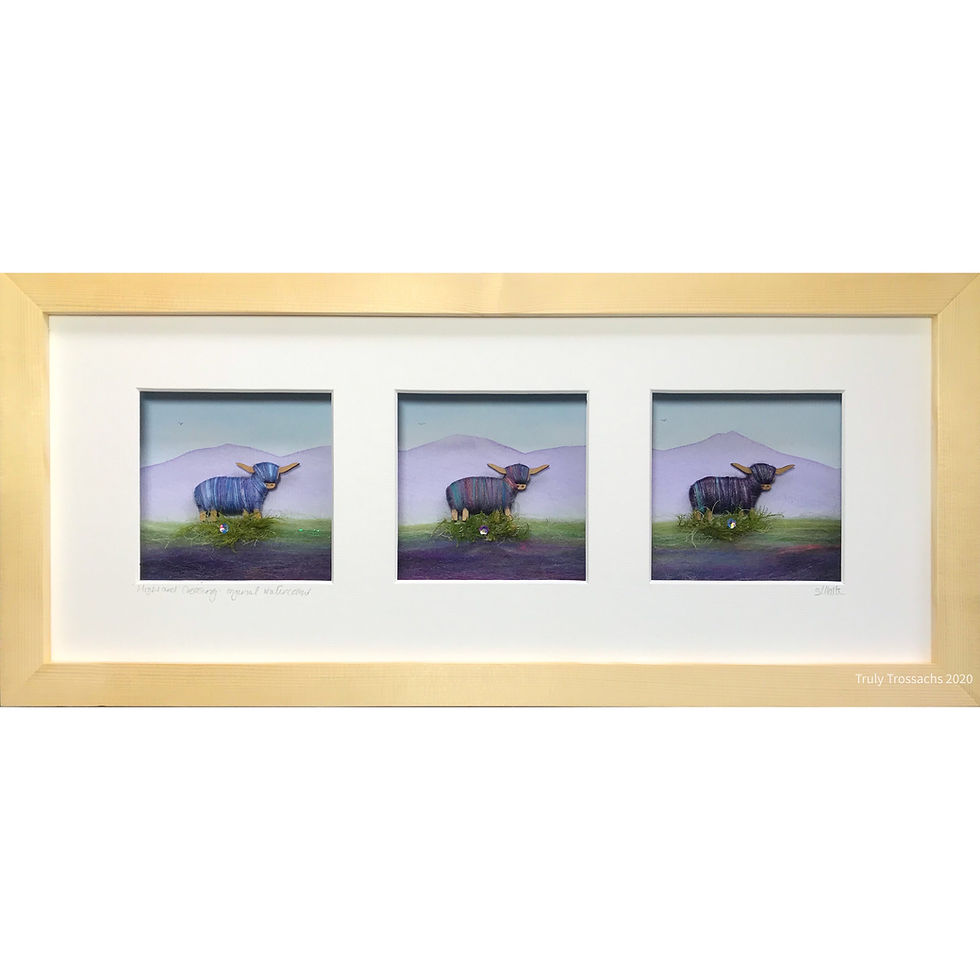 Thumbnail: Long Triple Boxed Picture Highland Cows