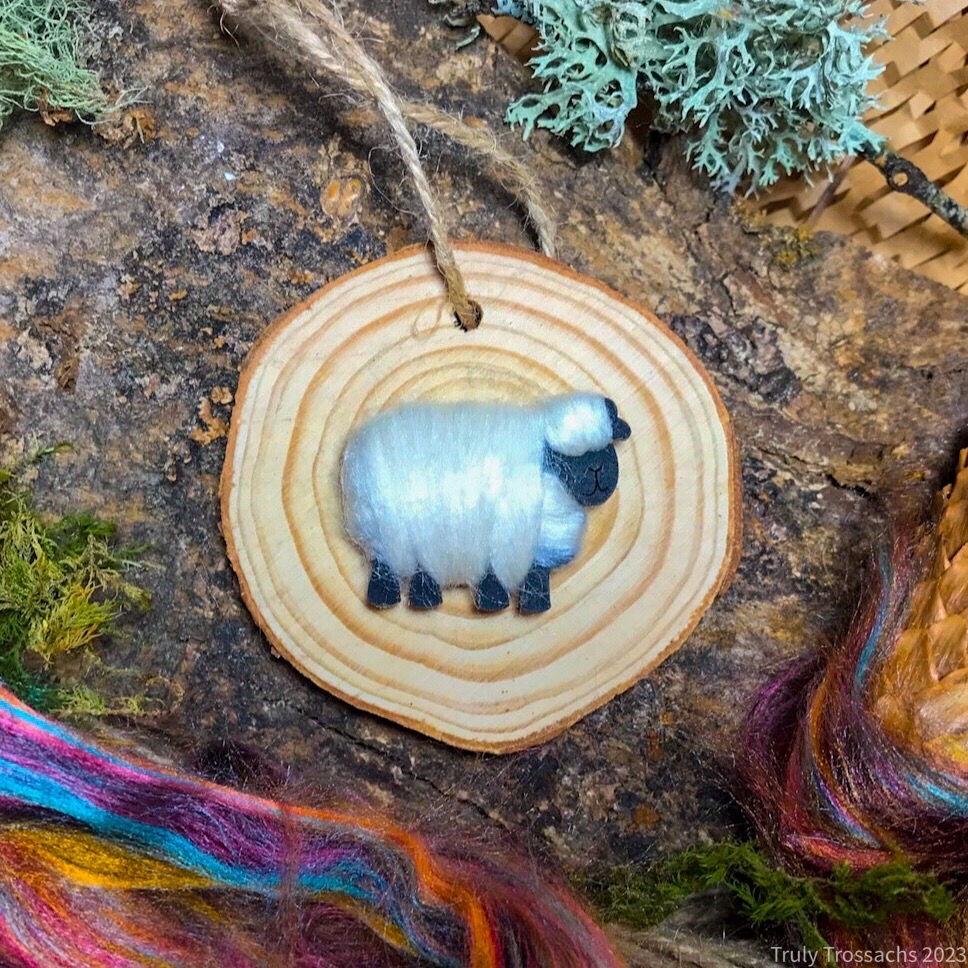 Thumbnail: Wooden Disc Hangings