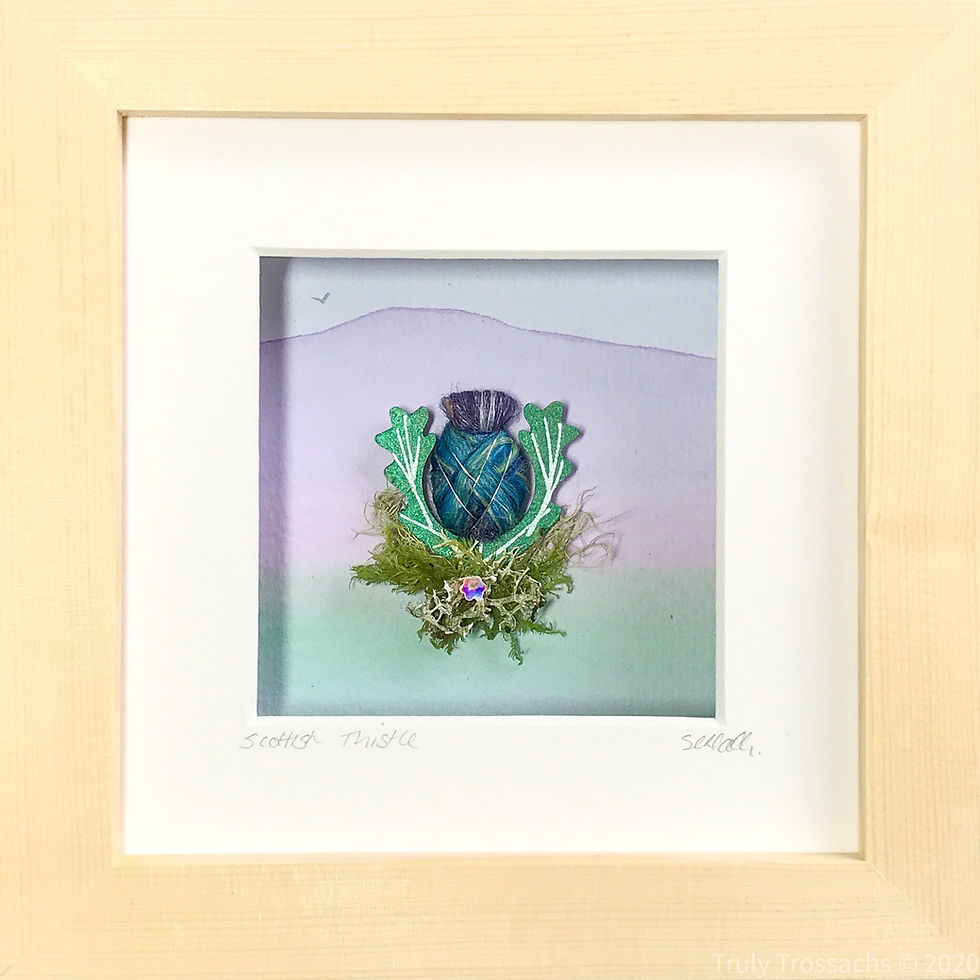 Thumbnail: Small Boxed Picture Scottish Thistle
