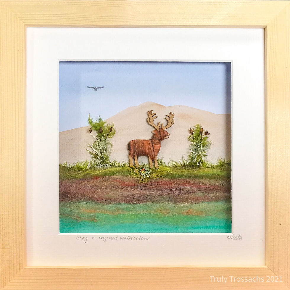 Thumbnail: Medium Boxed Picture Stag