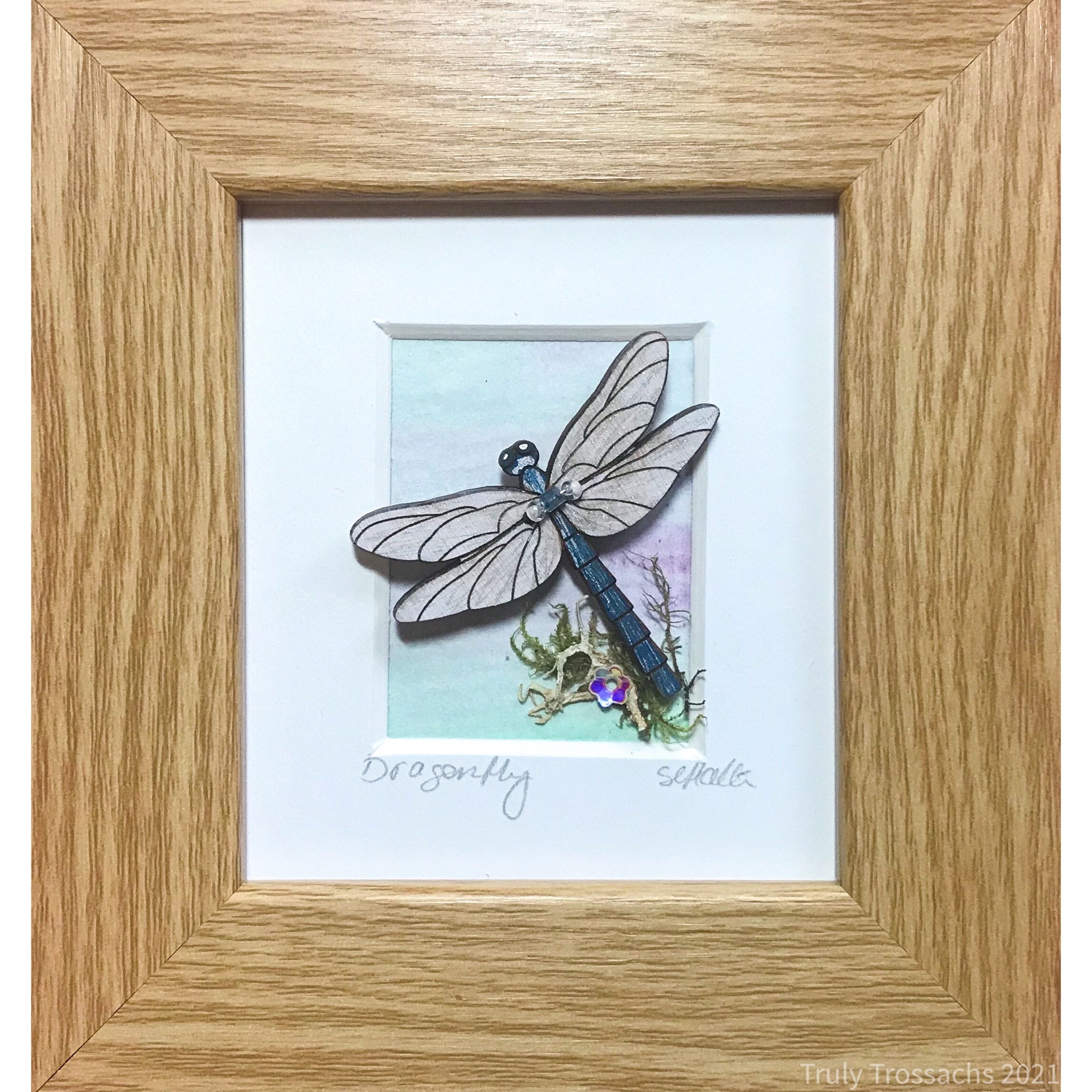 Dragonfly Mini Boxed Picture