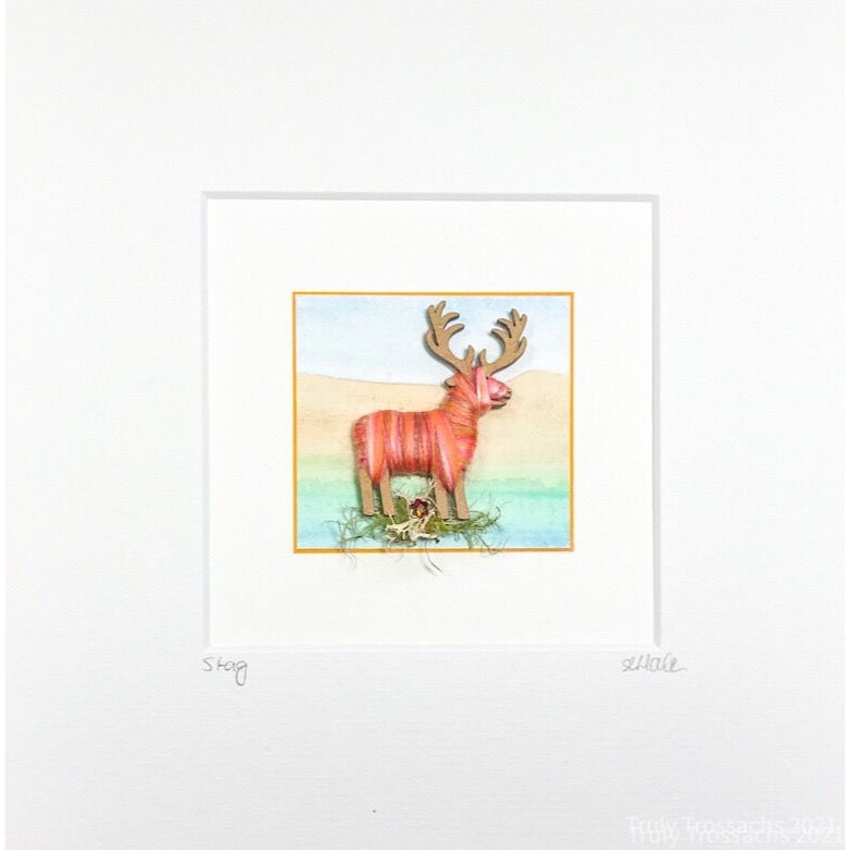 Thumbnail: Mount Stag Colour Blends