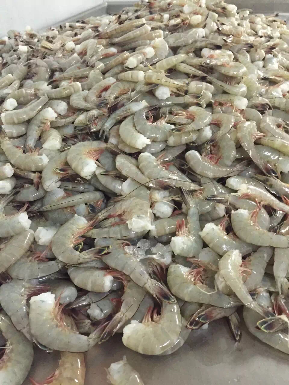 Jackie's Seafood Market // Brunswick, GA