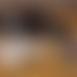 L'art de prendre des notes 