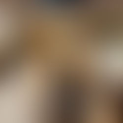 Pourquoi les théories du complot sont-elles si attrayantes?