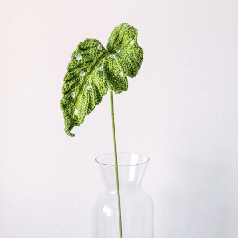 Miniature : Polka Dot Begonia