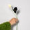 Thumbnail: Calla Lily