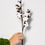 Miniature : Coton
