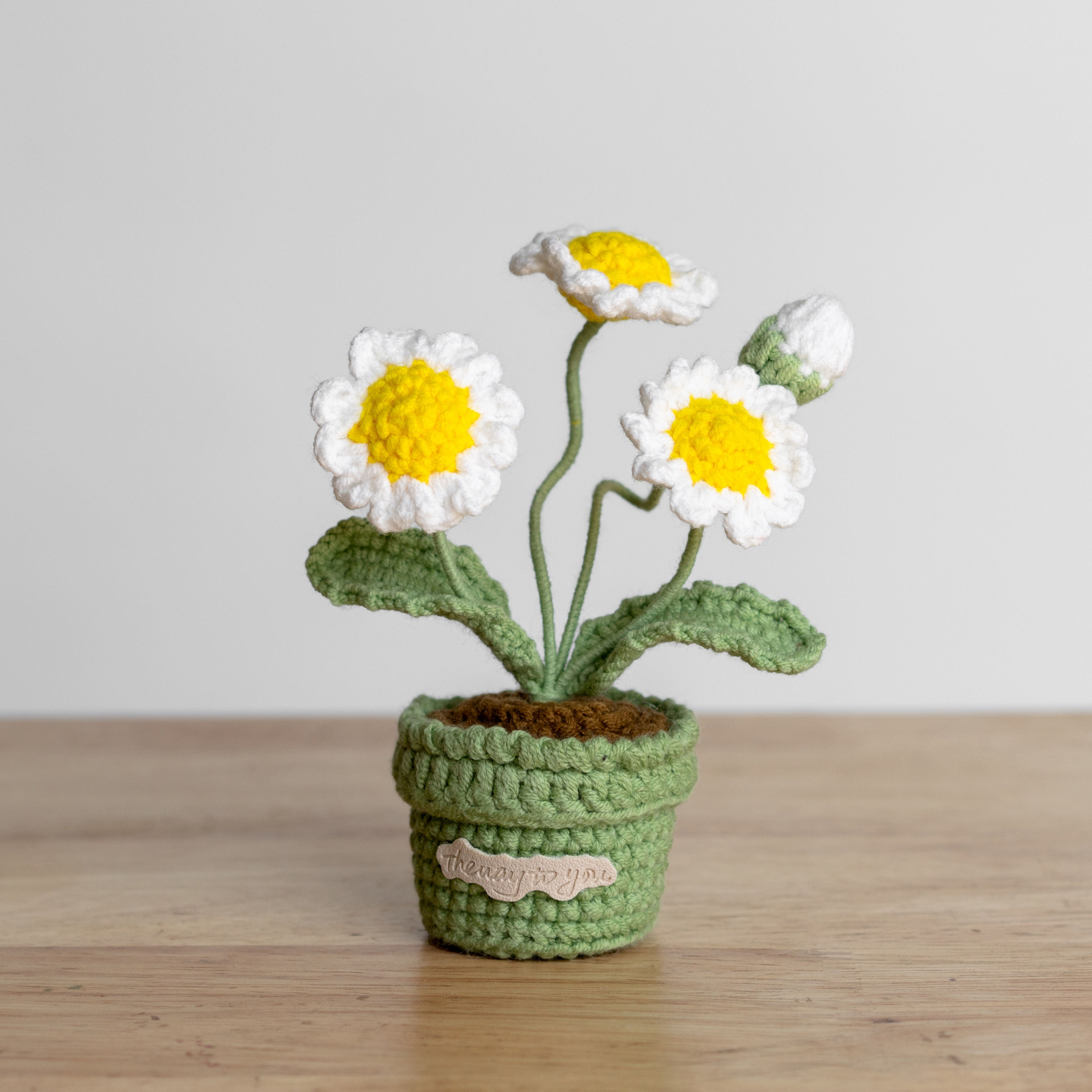 Daisy Pot