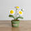 Miniature : Daisy Pot