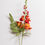 Miniature : Snapdragon