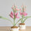 Miniature : Hyacinth Pot
