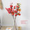 Miniature : Red Plum (Lunar New Year Flower)