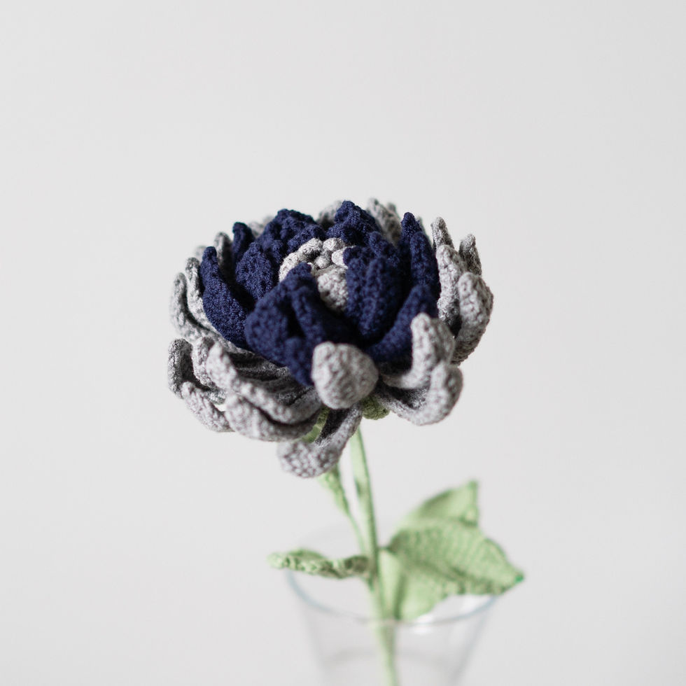 Miniature : Dahlia
