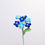 Miniature : Myosotis