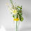 Miniature : Garden Collection-Clematis