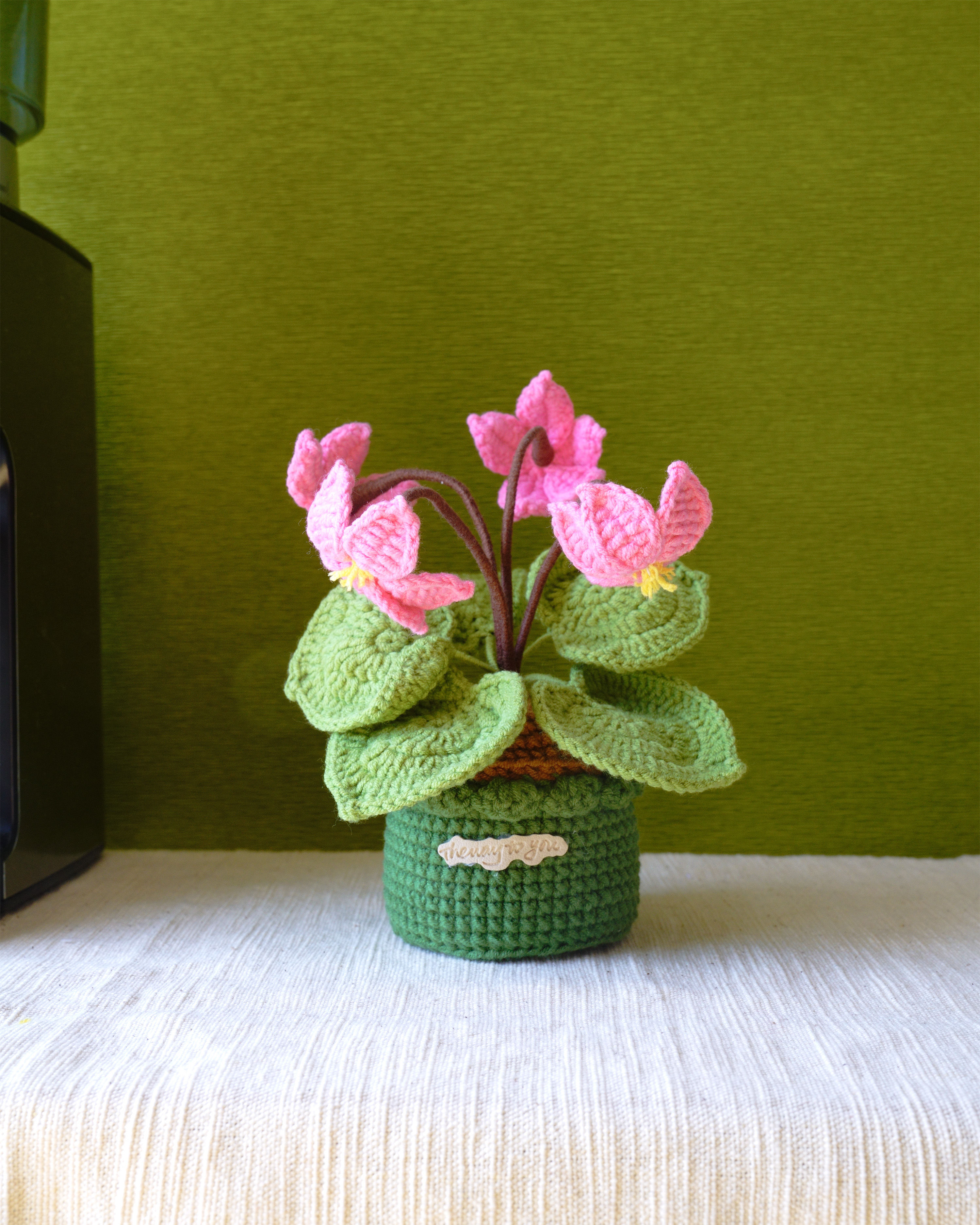 Cyclamen Pot