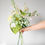 Miniature : Garden Collection-Clematis