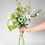 Miniature : Garden Collection-Clematis