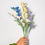 Thumbnail: Freesia