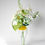 Miniature : Garden Collection-Clematis