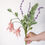 Miniature : Fushia(Lady's Eardrops)