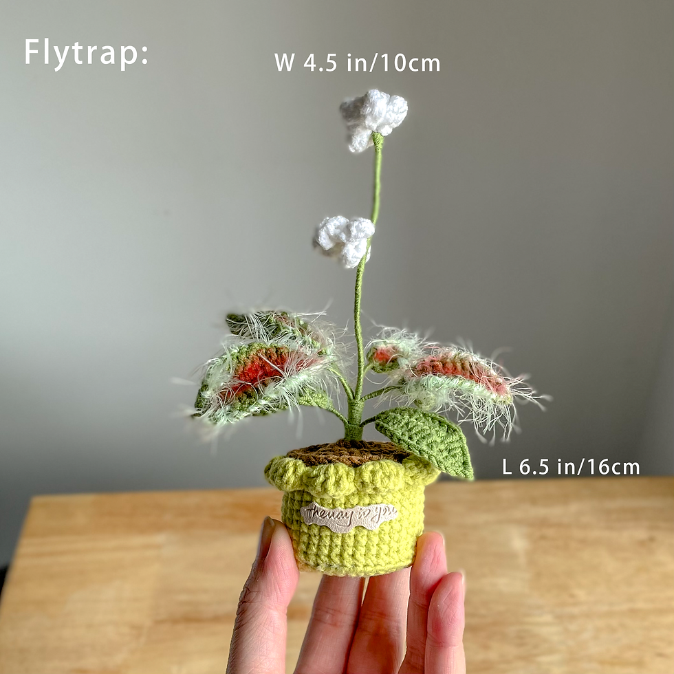 Miniature : Venus Flytrap