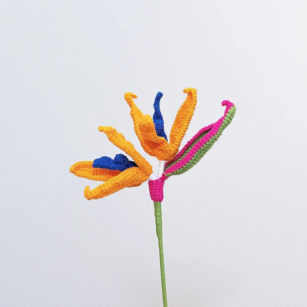 Miniature : Tropical Forest