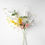 Miniature : Honeysuckle