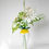 Miniature : Garden Collection-Clematis
