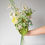 Miniature : Garden Collection-Clematis