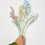 Miniature : Baie