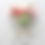 Miniature : June Bouquet