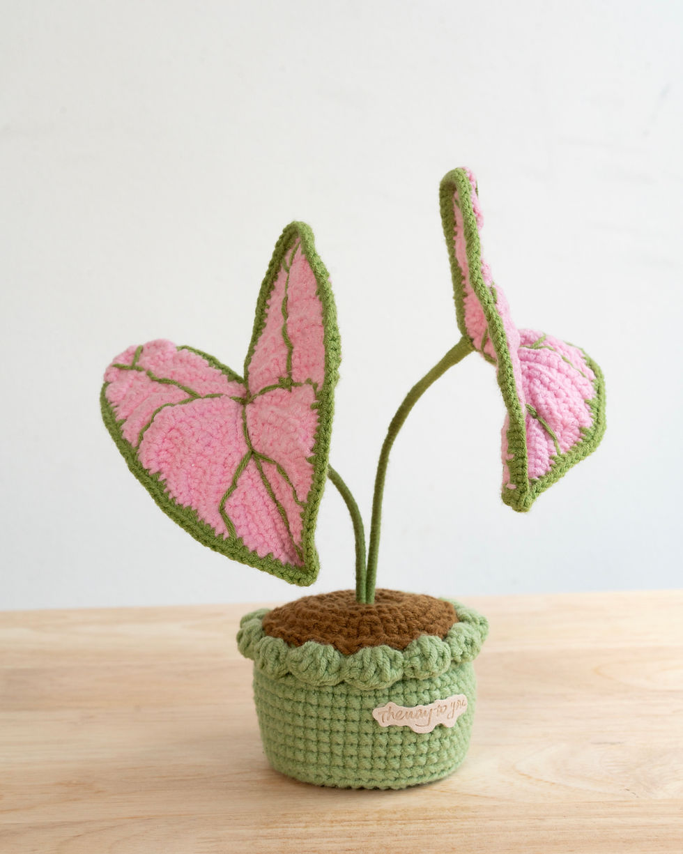 Thumbnail: Elephant Ear Pot