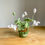 Miniature : Clover