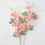 Miniature : Fleur de cerisier