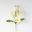 Miniature : Frangipani