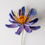Miniature : Rose Equateur