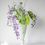 Miniature : Garden Collection-Wisteria