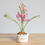 Miniature : Hyacinth Pot