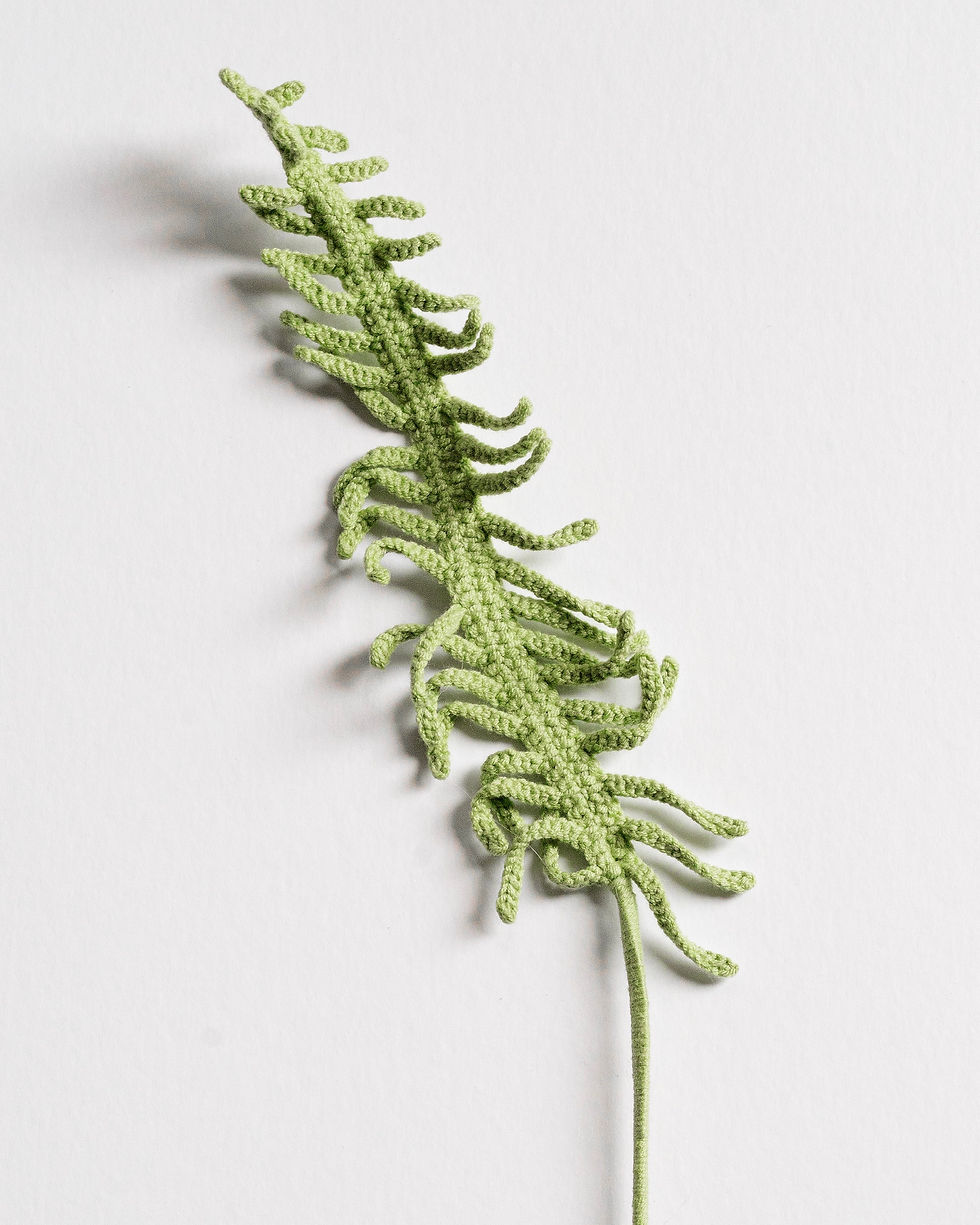 Thumbnail: Sword Fern