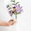 Miniature : June Bouquet