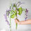 Miniature : Garden Collection-Wisteria