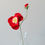 Miniature : Le Pavot