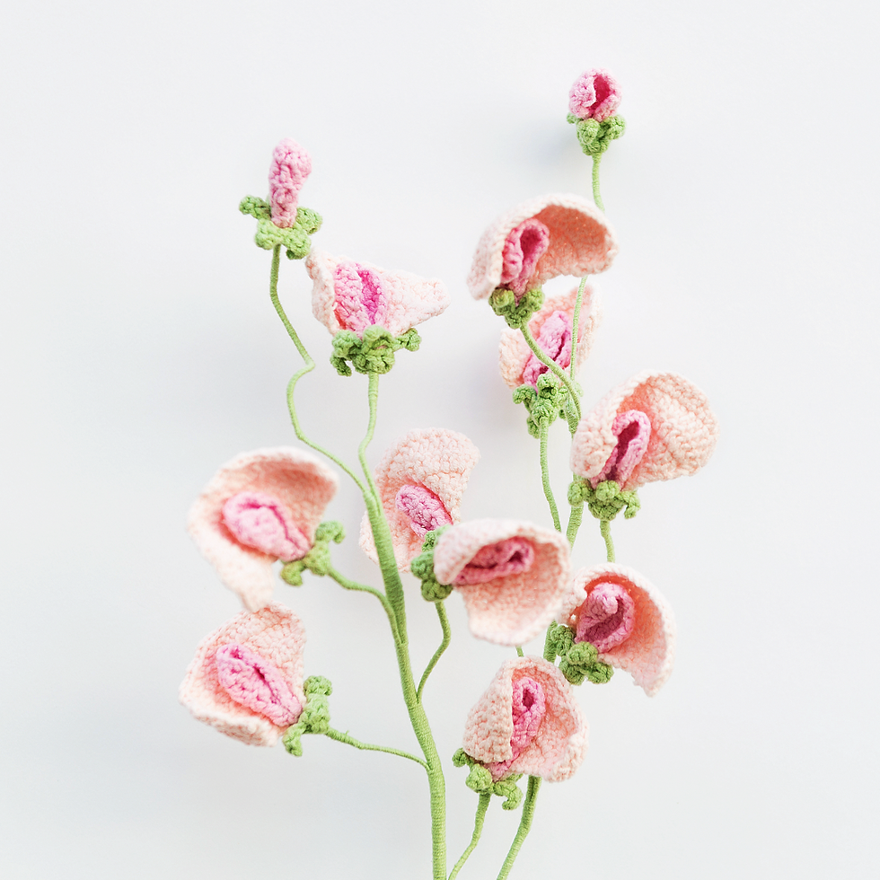 Miniature : Sweet Pea
