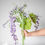 Miniature : Garden Collection-Wisteria